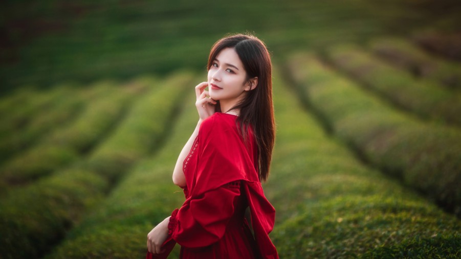 本地SEO排名：提升你的本地业务在网络中的可见度