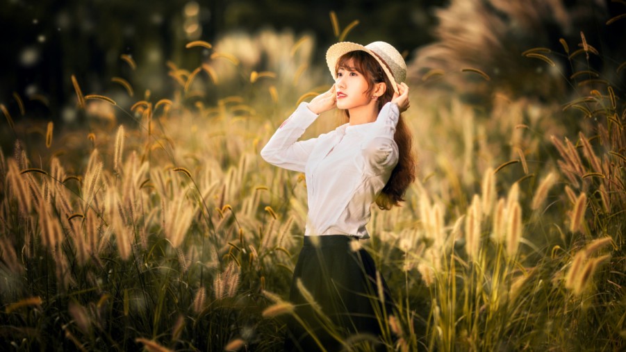 甘肃SEO排名价格解析：让您的企业在网络世界中耀眼崛起