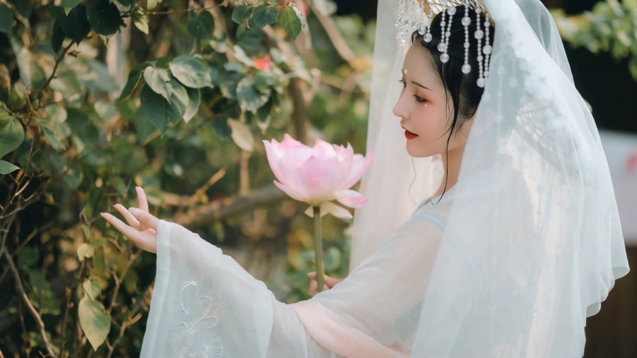 提升海瑶品牌影响力，让“海瑶seo排名”成为行业标杆